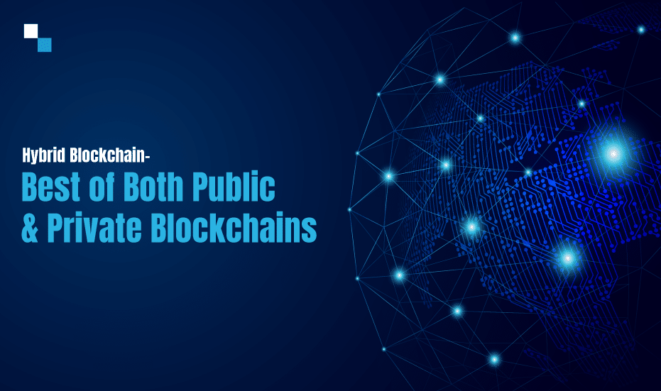 Public vs Private Blockchain,Hybrid Blockchain,Blockchain deployment,Hybrid Blockchain Development,Hybrid Blockchain Development Services